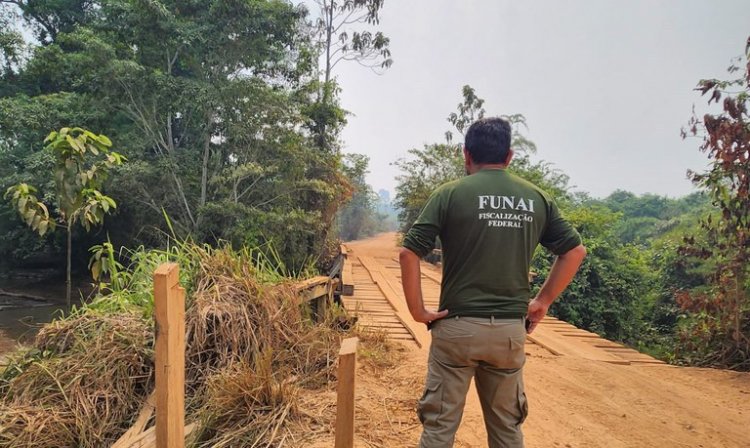 Justiça anula títulos de fazendas sobre Terra Indígena Apyterewa, em São Félix do Xingu