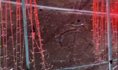 Vândalos destroem e roubam enfeites natalinos em São Félix do Xingu; polícia anuncia investigação rigorosa