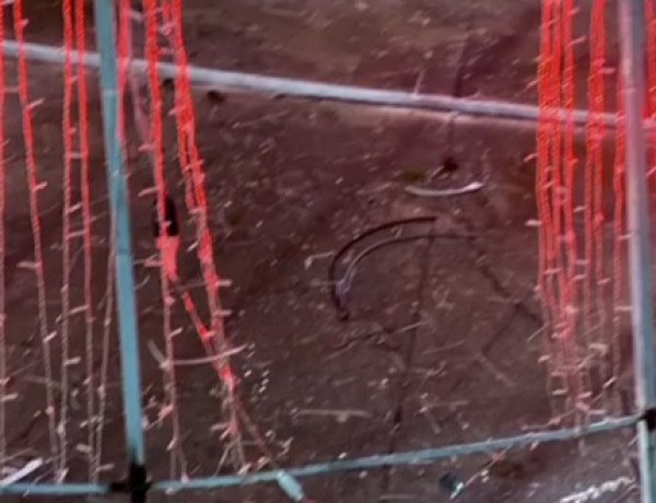 Vândalos destroem e roubam enfeites natalinos em São Félix do Xingu; polícia anuncia investigação rigorosa