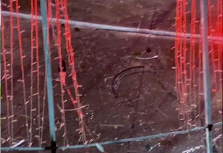 Vândalos destroem e roubam enfeites natalinos em São Félix do Xingu; polícia anuncia investigação rigorosa